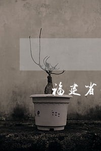 福建省法院面试经验 福建省法院面试经验