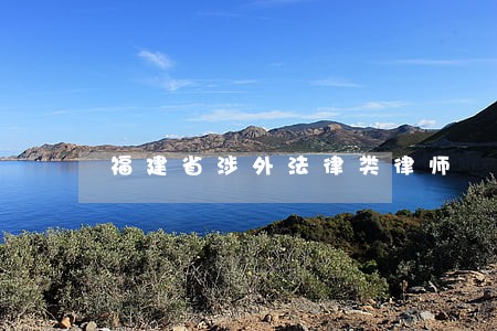 福建省涉外法律类律师