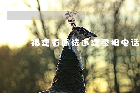 福建省违法违建举报电话