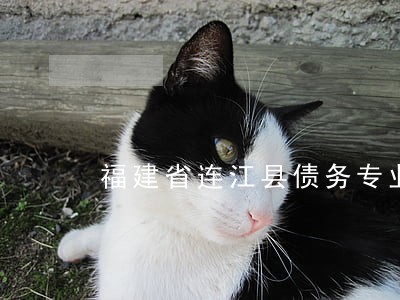 福建省连江县债务专业律师哪个好 福建省连江县债务专业律师哪个好