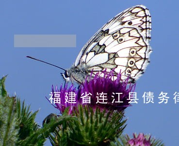 福建省连江县债务律师收费标准 福建省连江县债务律师收费标准