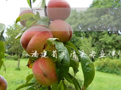 福建省闽清县专业律师哪个好 福建省闽清县专业律师哪个好