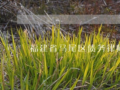 福建省马尾区债务律师排行 福建省马尾区债务律师排行