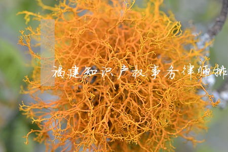 福建知识产权事务律师排名 福建知识产权事务律师排名