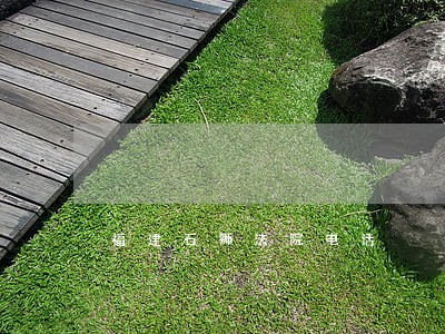 福建石狮法院电话