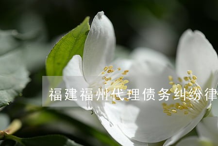 福建福州代理债务纠纷律师 福建福州代理债务纠纷律师