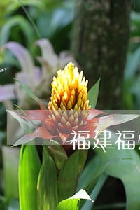 福建福州房产律师预约电话 福建福州房产律师预约电话