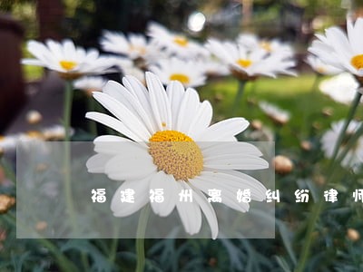 福建福州离婚纠纷律师哪个好 福建福州离婚纠纷律师哪个好