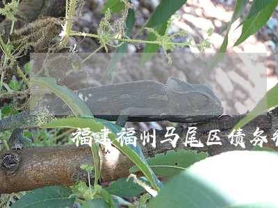 福建福州马尾区债务律师哪个好 福建福州马尾区债务律师哪个好