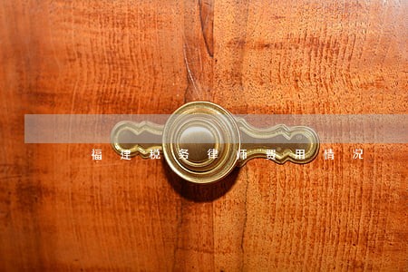 福建税务律师费用情况 福建税务律师费用情况