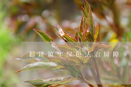福建筑牢绿色法治屏障