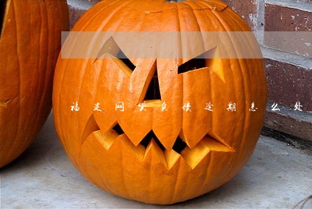 福建网贷负债逾期怎么处理 福建网贷负债逾期怎么处理