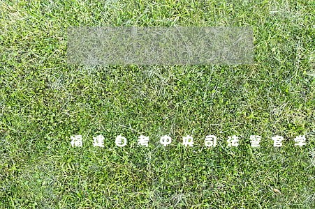 福建自考中央司法警官学院 福建自考中央司法警官学院