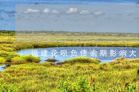 福建花呗负债逾期影响大吗 福建花呗负债逾期影响大吗