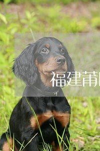 福建莆田滴滴车违法吗 福建莆田滴滴车违法吗