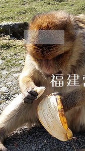 福建营业执照期限逾期罚款 福建营业执照期限逾期罚款