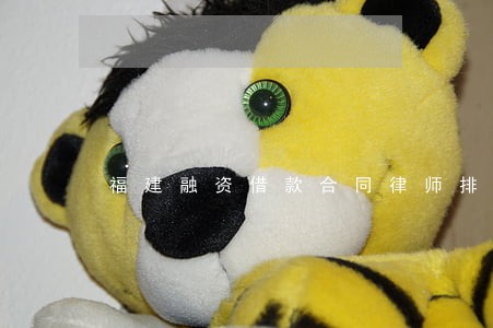 福建融资借款合同律师排行 福建融资借款合同律师排行