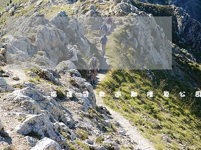 福建贷款逾期修复公司 福建贷款逾期修复公司