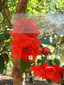 福建违法缴费重复交 福建违法缴费重复交