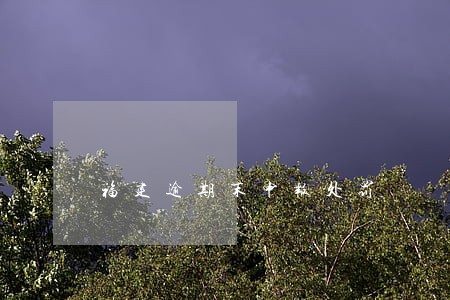 福建逾期末申报处罚 福建逾期末申报处罚