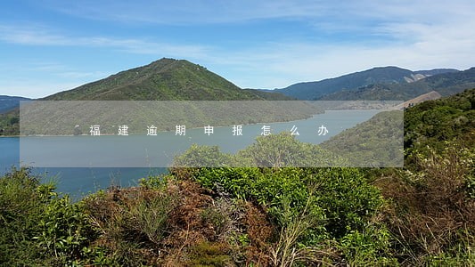 福建逾期申报怎么办 福建逾期申报怎么办