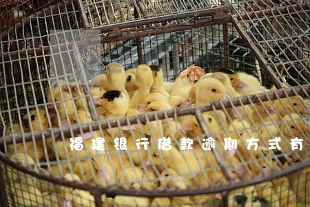 福建银行借款逾期方式有哪些 福建银行借款逾期方式有哪些