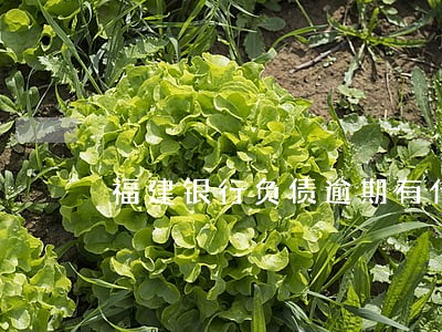 福建银行负债逾期有什么后果 福建银行负债逾期有什么后果