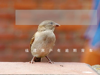 福建黑户有逾期背车