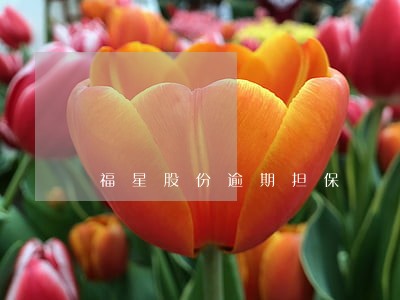 福星股份逾期担保 福星股份逾期担保