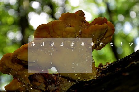 福清债务咨询律师要多少钱 福清债务咨询律师要多少钱
