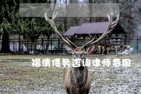 福清债务咨询律师费用 福清债务咨询律师费用