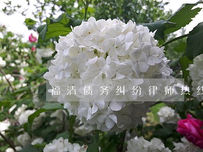 福清债务纠纷律师热线 福清债务纠纷律师热线