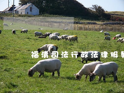 福清司法行政法律服务 福清司法行政法律服务