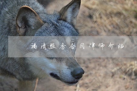 福清服务合同律师介绍