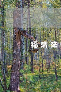 福清法院律师 福清法院律师
