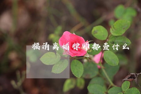福清离婚律师都查什么 福清离婚律师都查什么