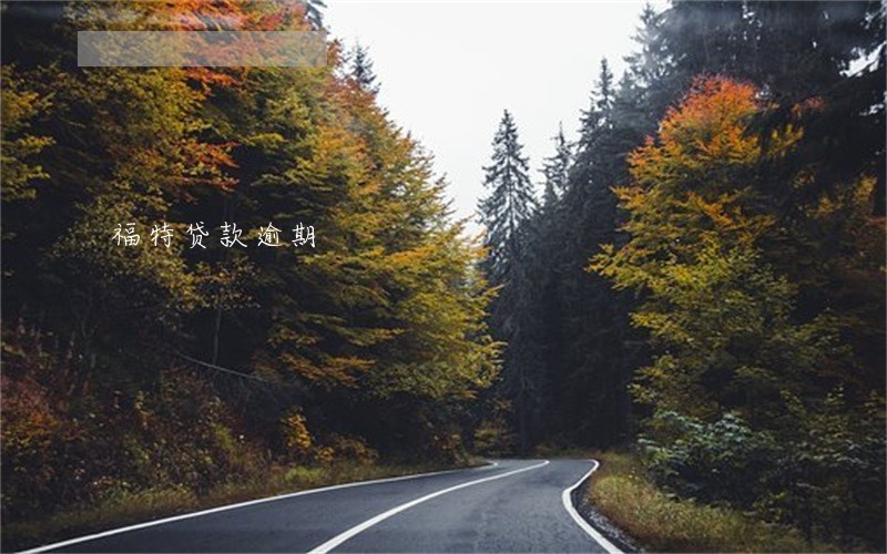 福特贷款逾期 福特贷款逾期