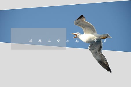福特车贷逾期4个月 福特车贷逾期4个月