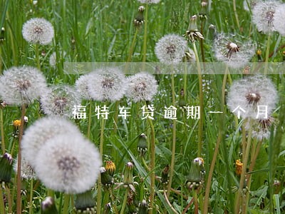 福特车贷逾期一个月 福特车贷逾期一个月
