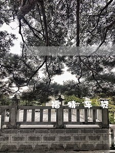 福特车贷逾期一周 福特车贷逾期一周
