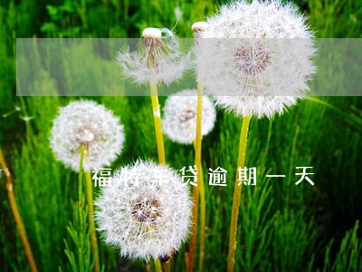 福特车贷逾期一天 福特车贷逾期一天
