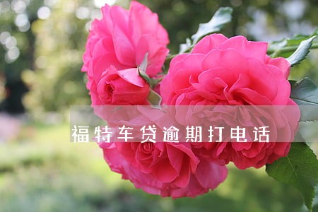 福特车贷逾期打电话 福特车贷逾期打电话