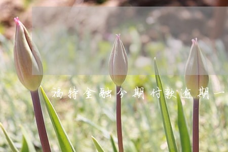 福特金融分期付款逾期一个月 福特金融分期付款逾期一个月