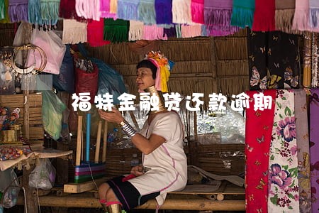 福特金融贷还款逾期