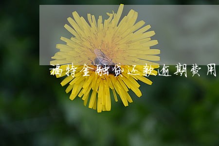 福特金融贷还款逾期费用如何合算