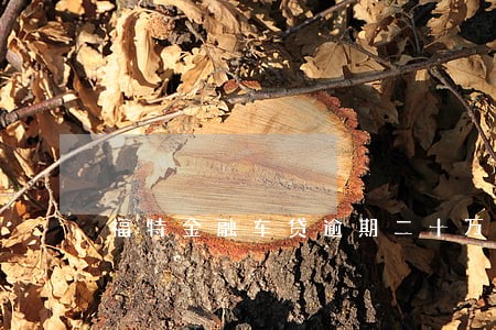 福特金融车贷逾期二十万 福特金融车贷逾期二十万