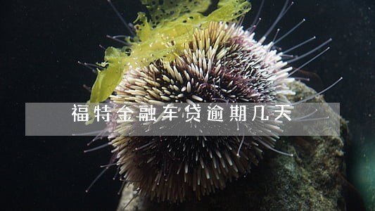 福特金融车贷逾期几天 福特金融车贷逾期几天