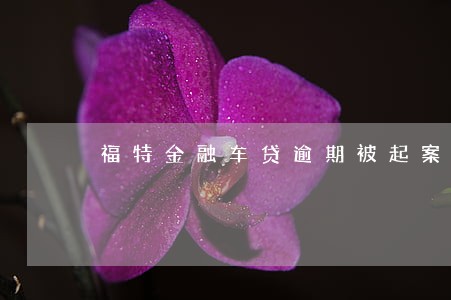 福特金融车贷逾期被起案例 福特金融车贷逾期被起案例