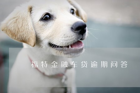 福特金融车贷逾期问答 福特金融车贷逾期问答