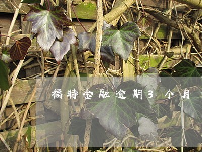 福特金融逾期3个月 福特金融逾期3个月